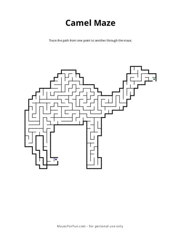 Camel Maze