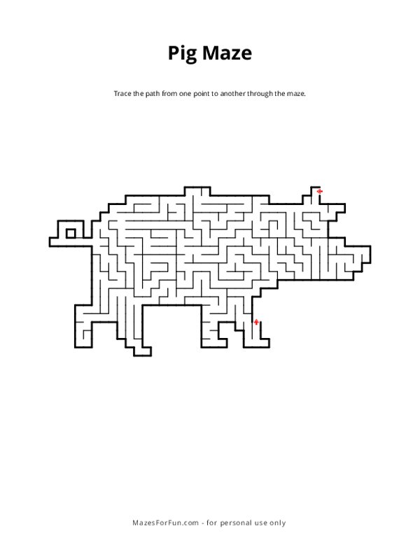 Pig Maze