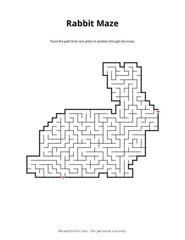 Rabbit Maze